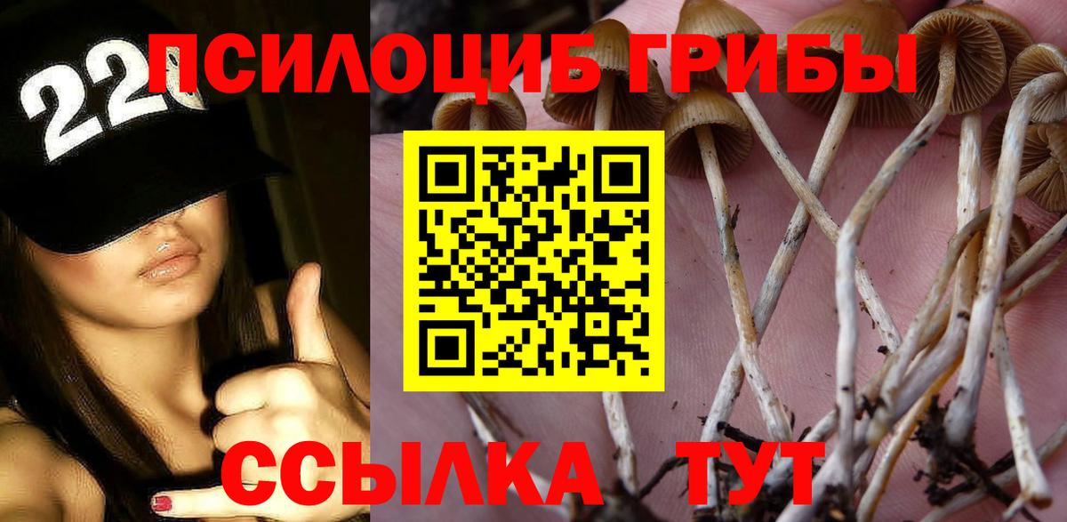 Златоуст  Галлюциногенные грибы Magic Shrooms  Галлюциногенные грибы мухоморы  Вход с VPN 