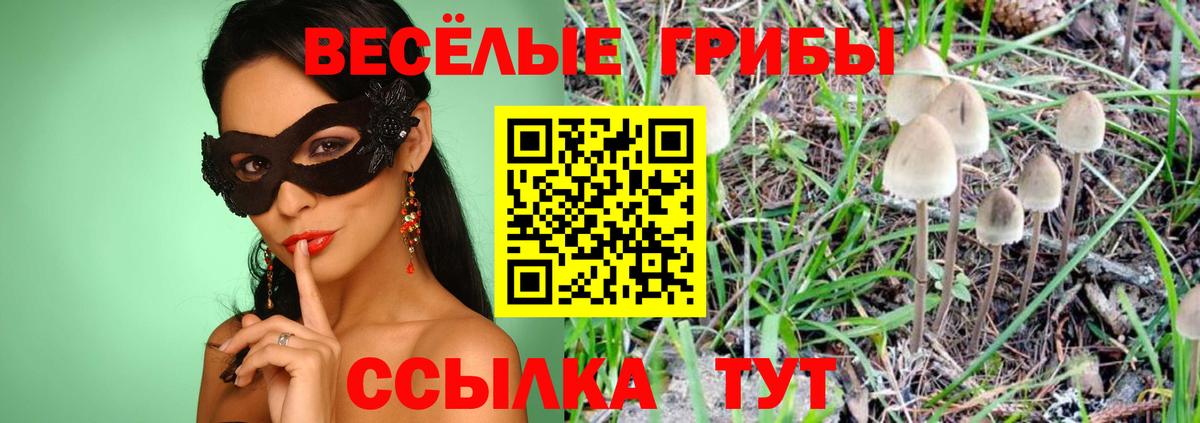 Галлюциногенные грибы мухоморы Златоуст